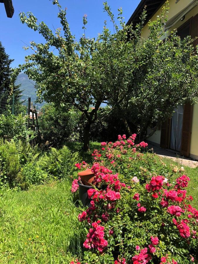 The Children Smile- With Private Garden Colico Exterior foto